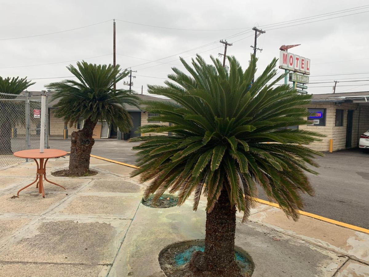 El Tejas Motel サンアントニオ エクステリア 写真